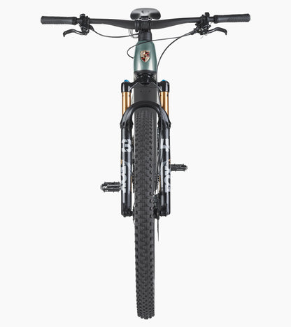 Porsche eBike Cross Performance EXC