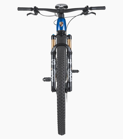 Porsche eBike Cross Performance EXC