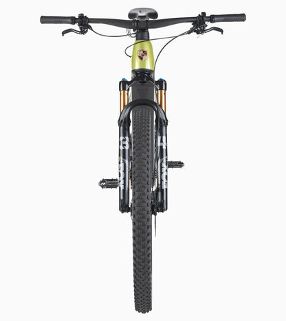 Porsche eBike Cross Performance EXC