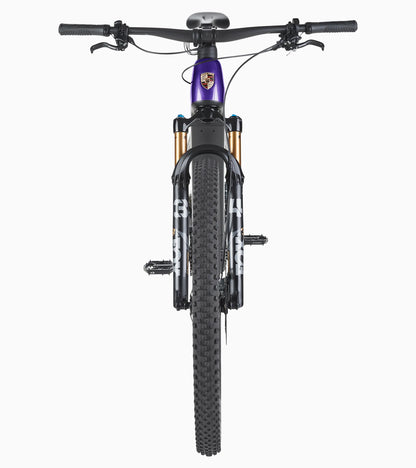 Porsche eBike Cross Performance EXC