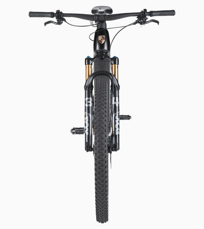 Porsche eBike Cross Performance EXC