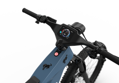 Bronco eBike