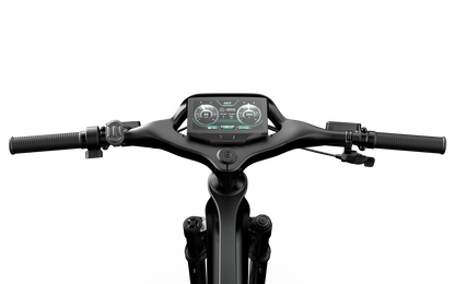 Mercedes-AMG PETRONAS F1® Team Rallye Edition 250 Electric Bike