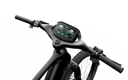 Mercedes-AMG PETRONAS F1® Team Rallye Edition 250 Electric Bike