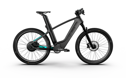 Mercedes-AMG PETRONAS F1® Team Rallye Edition 250 Electric Bike