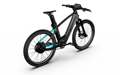 Mercedes-AMG PETRONAS F1® Team Rallye Edition 250 Electric Bike