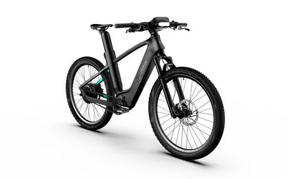 Mercedes-AMG PETRONAS F1® Team Rallye Edition 250 Electric Bike