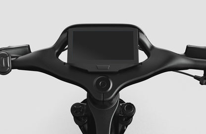 Mercedes-AMG PETRONAS F1® Team Rallye Edition 250 Electric Bike