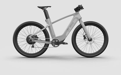 Mercedes-AMG PETRONAS F1® Team Rallye Edition 250 Electric Bike